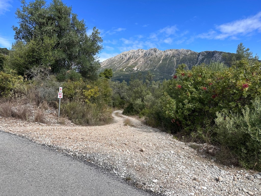 A scenic trail leading into olive trees and pine forests with a mountain backdrop, marked by a 'Race' sign.