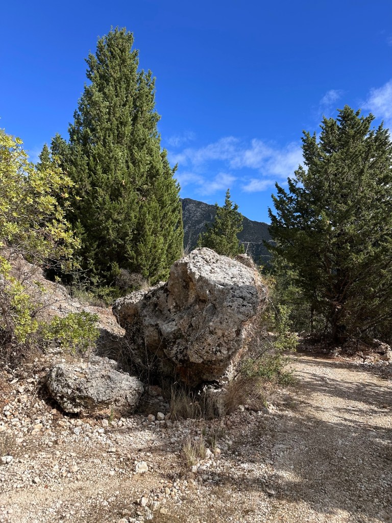 A large boulder beside a narrow gravel trail, surrounded by tall pine trees under a clear blue sky.