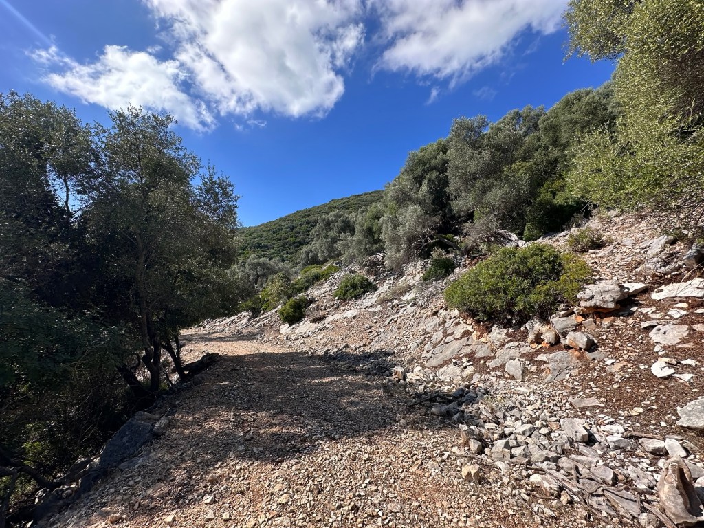 A rocky hiking trail surrounded by olive trees on Meganisi island, with a blue sky and green hills in the background.